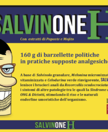 Salvinone H